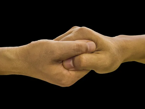 كازينو بونانزا جيم الدعم